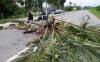 Aksi Tutup Jalan di Jayapura, Warga Tuntut Ganti Rugi Tanah Ulayat