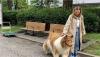 Pria Ini Berubah Jadi Anjing, Lalu Jalan-Jalan di Muka Umum Layaknya Binatang Sungguhan