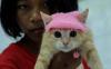 Peringatan Hari Kucing Sedunia di Solo - Bagian 1