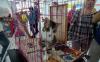 Peringatan Hari Kucing Sedunia di Solo - Bagian 2