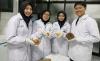 Olah Umbi Porang, Mahasiswa UMM Sukses Bikin Makanan Pencegah Diabetes pada Anak 