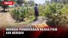 Dilanda Kemarau, Warga Pamekasan Terpaksa Jalan Kaki Cari Air Bersih