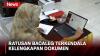 Ratusan Bacaleg di Kabupaten Muarojambi Dinyatakan Tidak Lolos Verifikasi