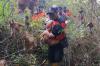 Remaja Bantul yang Hilang di Hutan Dlingo Ditemukan, Kondisinya Lemas dan Bercelana Pendek