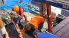 4 Nelayan Hilang Kecelakaan Laut di Tulungagung Ditemukan Ditewas