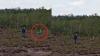 Viral Penampakan Kobra Putih Berukuran Besar di Ketapang, Netizen Sebut Raja Ular