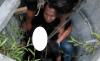 Buruh Bangunan Jambi Tewas Gantung Diri di Sumur Diduga Frustrasi Gagal Nikah