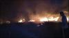 30 Hektare Hutan Produksi di Gunung Mas Kalteng Terbakar, Pemadaman Masih Berlangsung