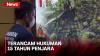Pelaku Pembakar Lahan 7 Ha di Kotawaringin Timur Ditangkap Polisi