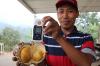 Viral Durian Duri Hitam di Media Sosial, Rasanya Manis Harga Rp2 Jutaan per Buah