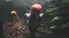 Cerita Mistis Gunung Salak, Misteri Keangkeran yang Belum Terpecahkan