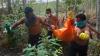 Way Kanan Gempar, Mayat Membusuk Ditemukan di Kebun Karet