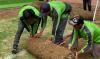 PT Jakpro Bongkar Rumput JIS usai Dapat Rekomendasi FIFA
