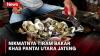 Tiram Bakar Kreasi Kuliner Tradisional Pantai Ngebum Kendal