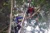 Warga Magelang Tewas di Atas Pohon Jengkol, Evakuasi Dramatis