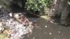 Viral Warga Buang Sampah ke Sungai di Cimahi, Anggota TNI Turun Tangan Aksi Bersih-bersih
