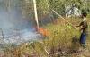 Kebun Jati di Kulonprogo Terbakar, Api Sempat Ancam 5 Rumah dan Rusunawa