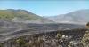Flora dan Fauna Langka Gunung Bromo Terancam Punah akibat Kebakaran, Apa Saja?