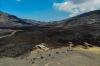 Dulu Hijau, Bukit Teletubbies Gunung Bromo Kini Hangus Dilalap Api - Bagian 2