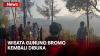 Kawasan Wisata Gunung Bromo Kembali Dibuka, Pembelian Tiket Dilakukan Secara Online