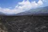 Wisata Gunung Bromo Dibuka, Pengunjung Disuguhkan Bukit Teletubbies yang Hangus