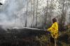 Karhutla di Kalteng, BNPB Catat 379,76 Hektare Lahan Terbakar sejak Awal Tahun