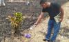 Tragis, Warga Kwasen Pekalongan Tewas Terbakar saat Hendak Padamkan Api