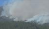 Gunung Lawu di Magetan Kembali Terbakar, 15 Hektare Lahan Hangus