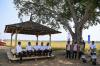 Presiden Jokowi bersama Plt Mentan Tinjau Panen Padi di Subang - Bagian 3