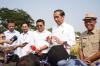 Gerak Cepat Amankan Produksi, Plt Mentan Dampingi Presiden Panen Padi di Sukamandi