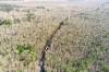 Hamparan Hutan Jati Taman Nasional Baluran Seluas 5.000 Hektare - Bagian 1