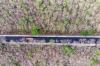 Hamparan Hutan Jati Taman Nasional Baluran Seluas 5.000 Hektare - Bagian 3