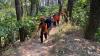 Cari Luak, Kakek 60 Tahun Hilang di Hutan Pinus Lereng Gunung Ungaran