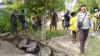 Viral Penemuan Tank Peninggalan Perang Dunia II Terkubur dalam Tanah di Papua