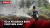Kebakaran Hutan dan Lahan di Palangka Raya Ancam Rumah Warga