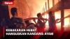 Kebakaran Hebat Hanguskan Kandang Ayam Permanen di Baradatu, Pemilik Rugi Ratusan Juta