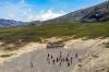 Kondisi Terkini Bukit Teletubbies Gunung Bromo Kembali Menghijau - Bagian 1