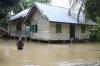 Ratusan Rumah di Aceh Barat Terendam Banjir - Bagian 2