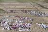 Warga Ciamis Sholat Meminta Hujan di Tengah Sawah Kering - Bagian 2