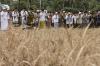 Warga Ciamis Sholat Meminta Hujan di Tengah Sawah Kering - Bagian 3