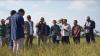 508 Hektare Sawah di Kolaka Timur Gagal Panen gegara Kemarau, Petani Merugi