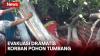 Evakuasi Korban Pohon Tumbang di Jakara Utara Berlangsung Dramatis