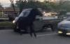 Viral Mobil Hancur Usai Tabrak Kuda yang Terlepas ke Jalan