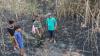 Tragis, Kakek 70 Tahun di Sampang Tewas Terbakar di Lahan Bambu