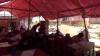 Ruang Kelas Nyaris Ambruk, Siswa SDN Bantargebang Sukabumi Belajar di Tenda