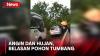 Hujan Deras dan Angin Kencang Landa Bogor, Belasan Pohon Tumbang