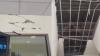 Penampakan Kantor Gubernur NTT hingga Bupati Kupang Rusak usai Diguncang Gempa M6,6 