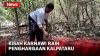 Kisah Karnawi Raih Penghargaan Kalpataru, Dulu Dihujat karena Tanam Mangrove