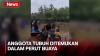 Ngeri! Ibu Hamil Tua Diterkam Buaya di Mimika