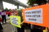 Aksi Tolak Penyebaran 200 Juta Nyamuk Wolbachia - Bagian 2